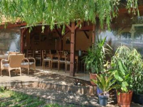 Complex Class Sulina