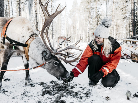 Charter Laponia Santa's Hotel Santa Claus Rovaniemi