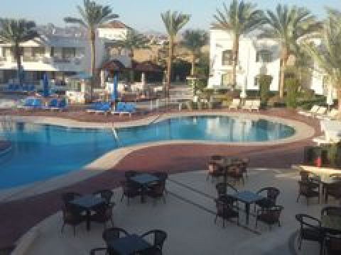 VIVA SHARM