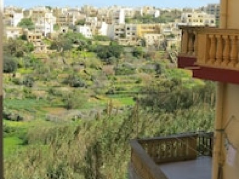 10 THE OLIVE GARDENS