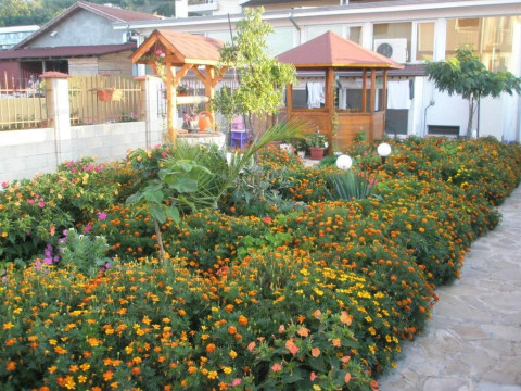 MORSKI DAR