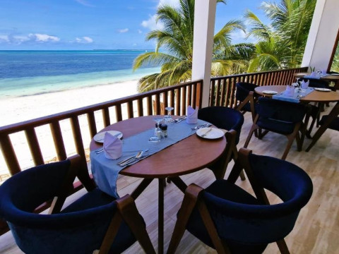Dream of Zanzibar