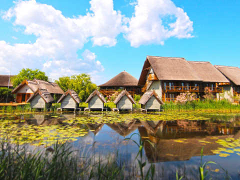 Green Village Resort