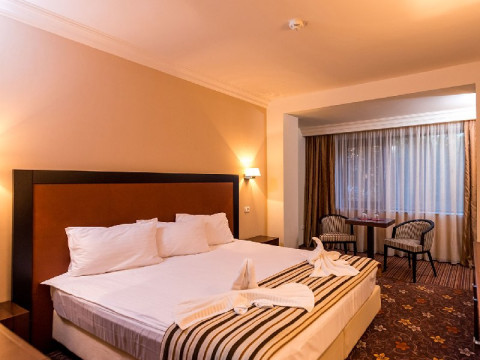 HOTEL PHOENIX CONFERENCE SPA BUZIAS