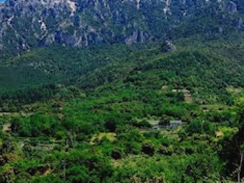 ENIS MONTE MACCIONE