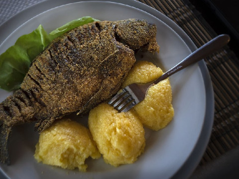 Cabana Cavnic 45 (Cavnic)