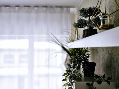 COFY RENTALS TALLINN