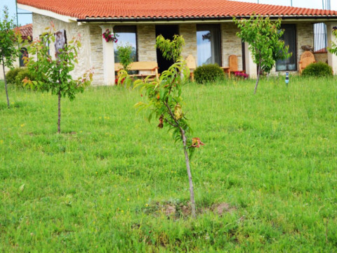 Puflene Resort