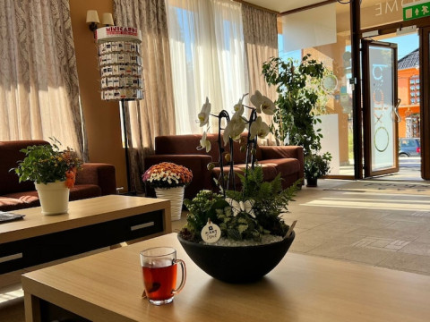 OXFORD INNS  SUITES