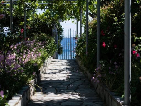 Ammos Skiathos