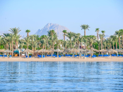 Jaz Sharm Dreams Resort