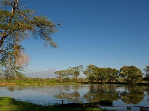 Bamburi Beach and Safari Tsavo Explorer RO