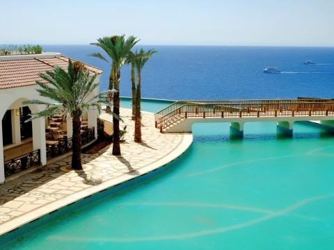 Reef Oasis Blue Bay