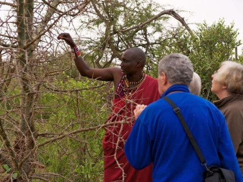 Bamburi Beach and Safari Tsavo Explorer RO
