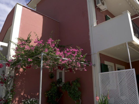 ASPASIA STUDIOS