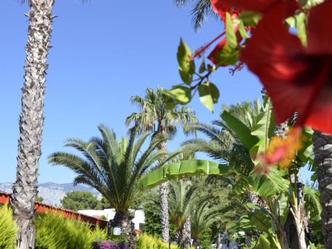 EMELDA SUN CLUB