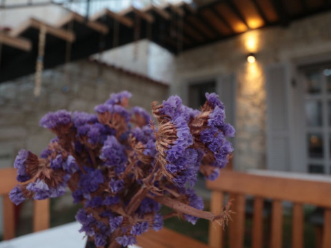 ALACATI CONA BUTIK OTEL