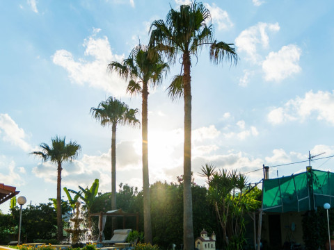Thalassa Apartments Chania