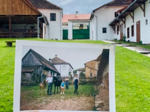 VESEUD 11