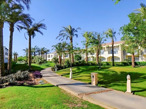 Reef Oasis Blue Bay