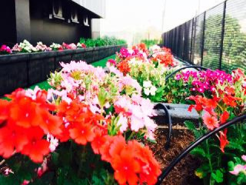 BTH – BOUTIQUE CONCEPT