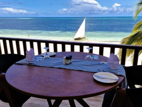 Dream of Zanzibar
