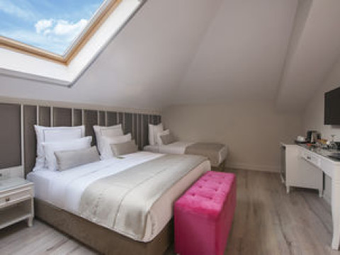 LE PETIT PALACE HOTEL