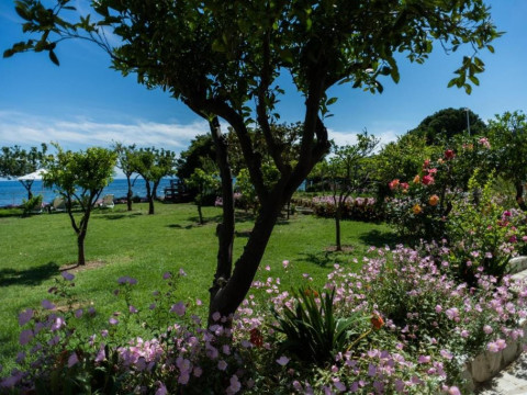 Ammos Skiathos