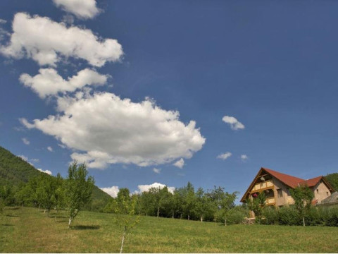 Pensiunea Valea Branzei (Barsana)