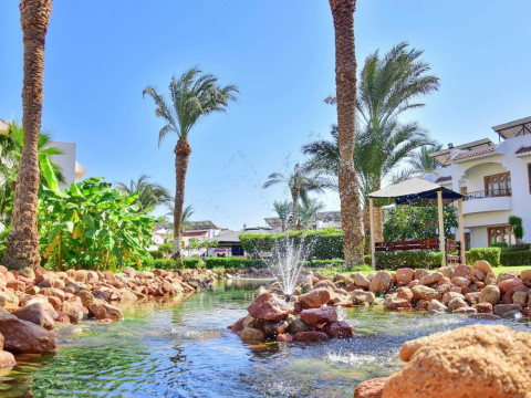 Dive Inn Resort
