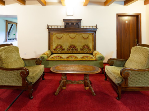 CASA DANIELESCU