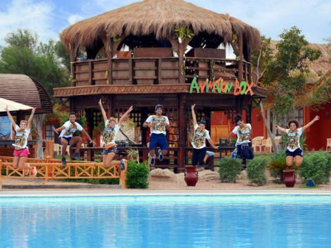 PICKALBATROS JUNGLE AQUA PARK RESORT - NEVERLAND