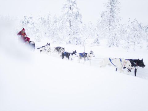 Charter Laponia Hotel Posti Boutique Rovaniemi si Design Hotel Levi 