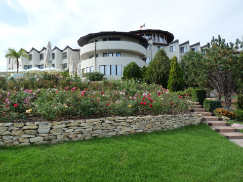 HOTEL NEW EGRETA