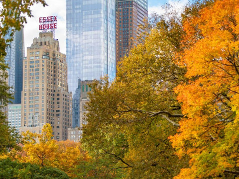 JW Marriott Essex House New York