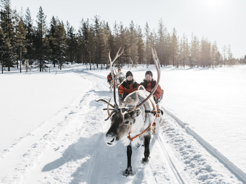 Charter Laponia Postmaster by StayLapland