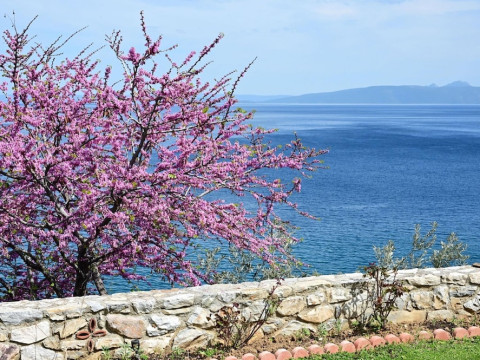 GODDESSES VILLA 2 IN NIES