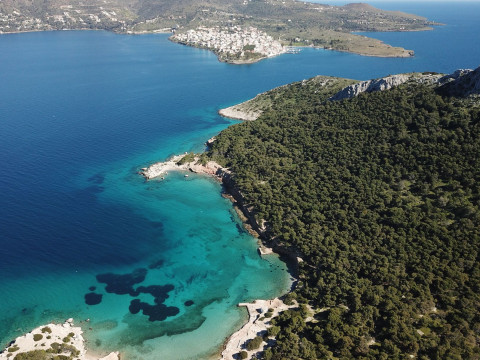 Perdika Mare Aegina