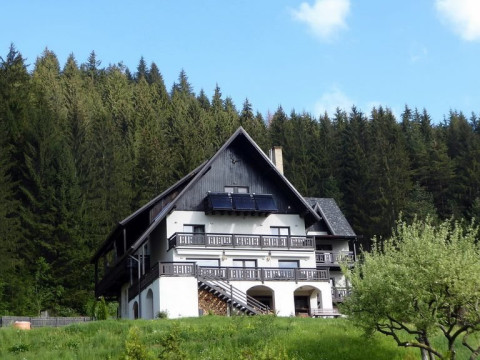 Pensiunea BUCOVINA LODGE
