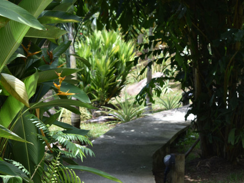 A Peace in Paradise