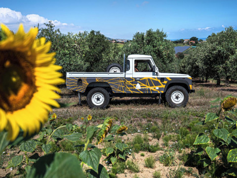 A3passi Agriturismo Tra Gli Ulivi