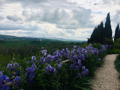 A440 In Tuscany