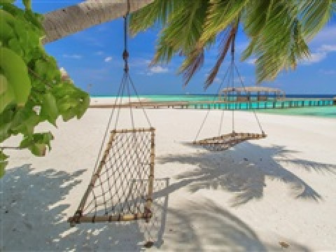 AAAVEEE NATURE'S PARADISE