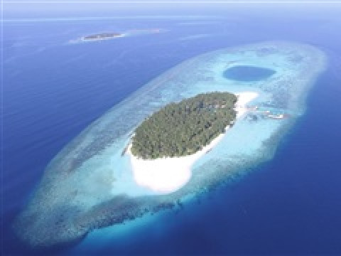 AAAVEEE NATURE'S PARADISE