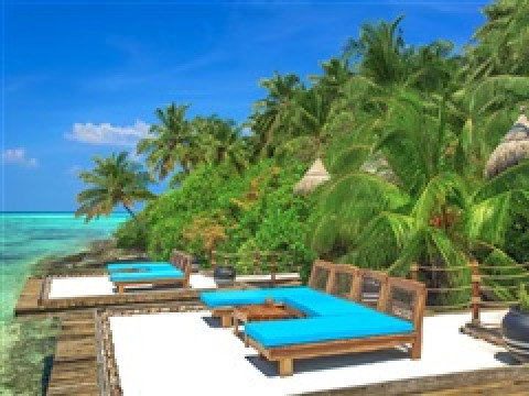 AAAVEEE NATURE'S PARADISE