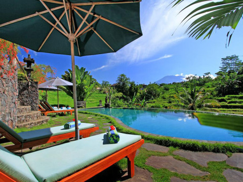 Abian Ayu Villa