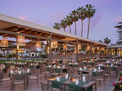 Minoa Palace Resort&Spa