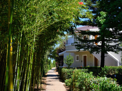 Acharavi Mare