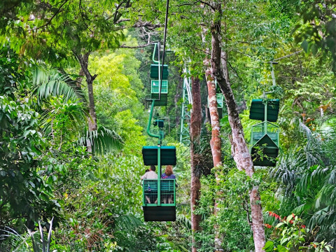Gamboa Rainforest Reserve