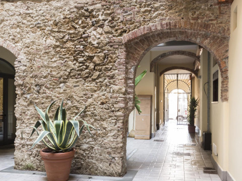 Agave In Città